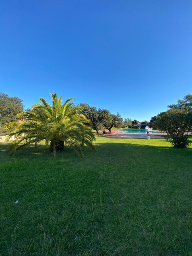 New Algarvegas Paradise Apartment Albufeira Exterior foto
