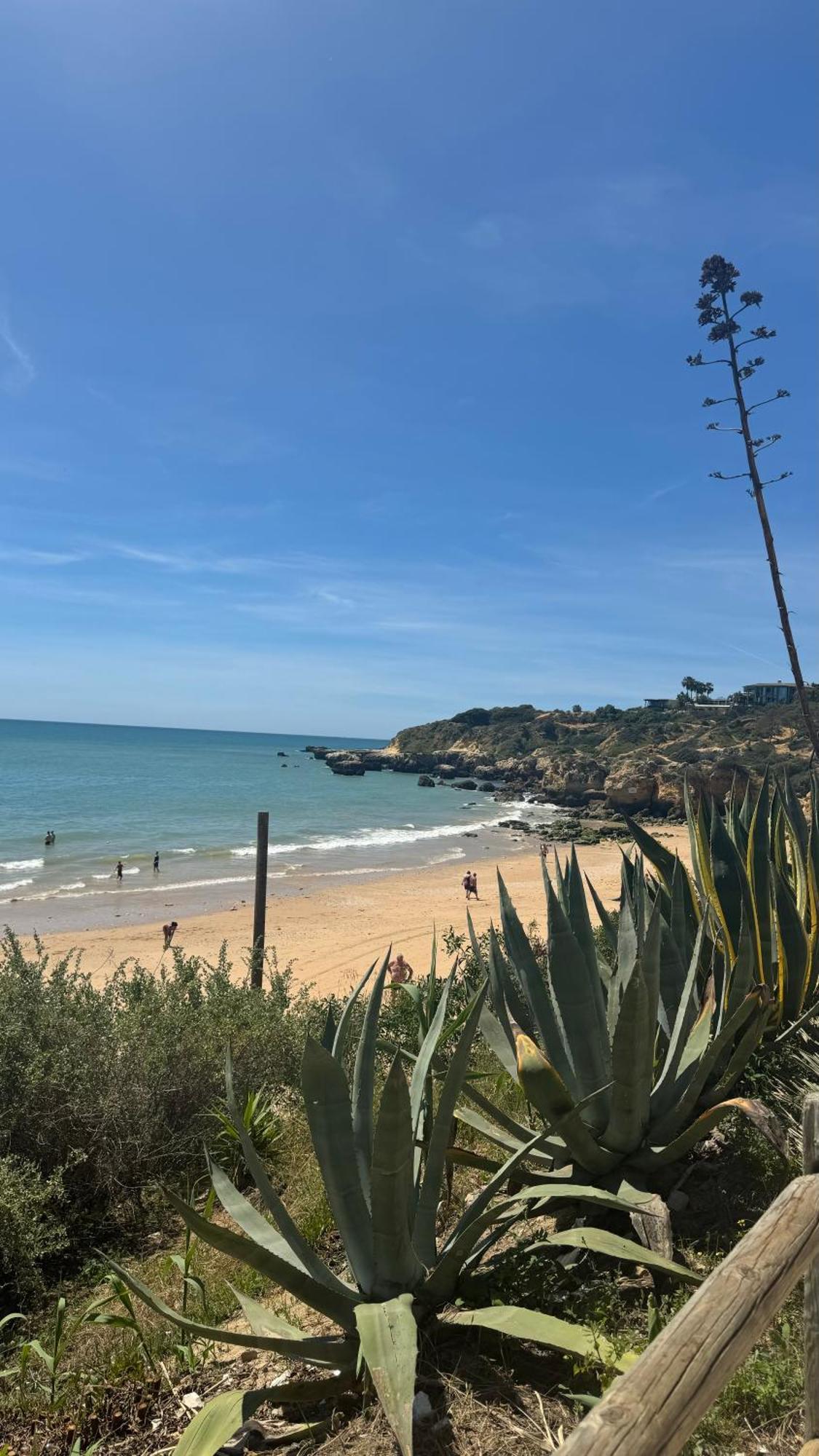 New Algarvegas Paradise Apartment Albufeira Exterior foto